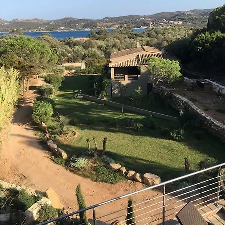 Zuria בוניפסיו