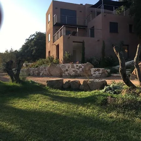 Zuria